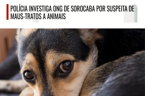 Polícia investiga ONG de Sorocaba por suspeita de maus-tratos a animais